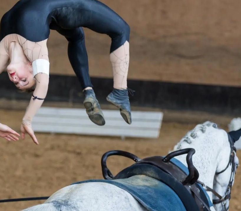 Voltigiererin auf dem Pferd